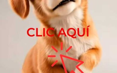 Tenencia Responsable Mascotas